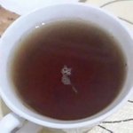 ミラクルな奇跡!？コーヒーを飲もうとしたら猫がいたw