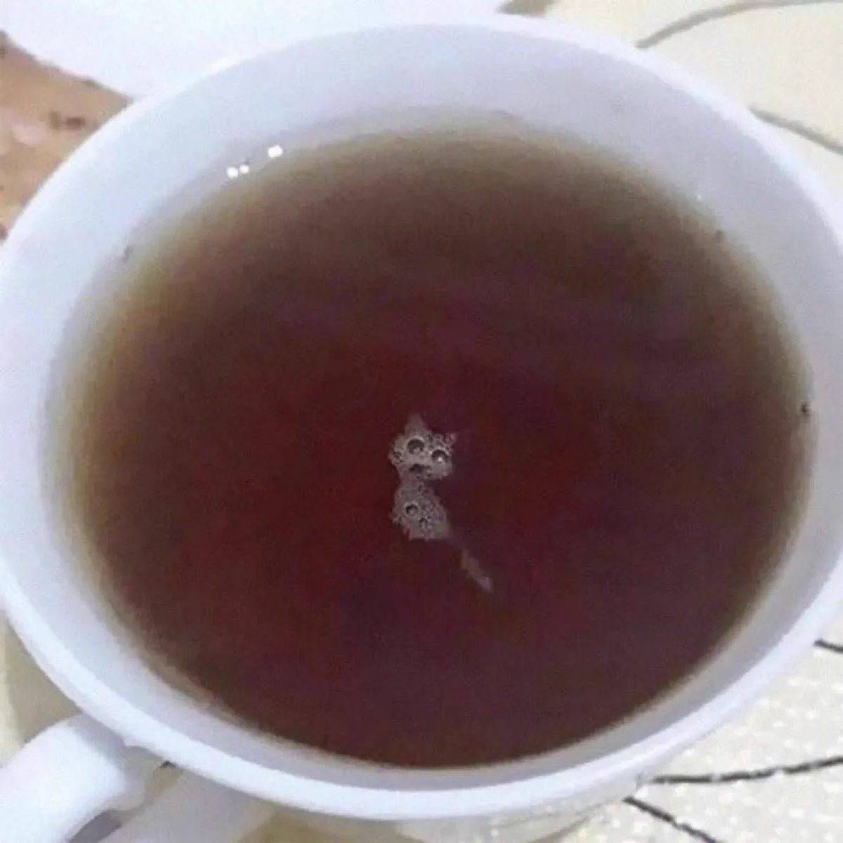ミラクルな奇跡！？コーヒーを飲もうとしたら猫がいたｗｗ