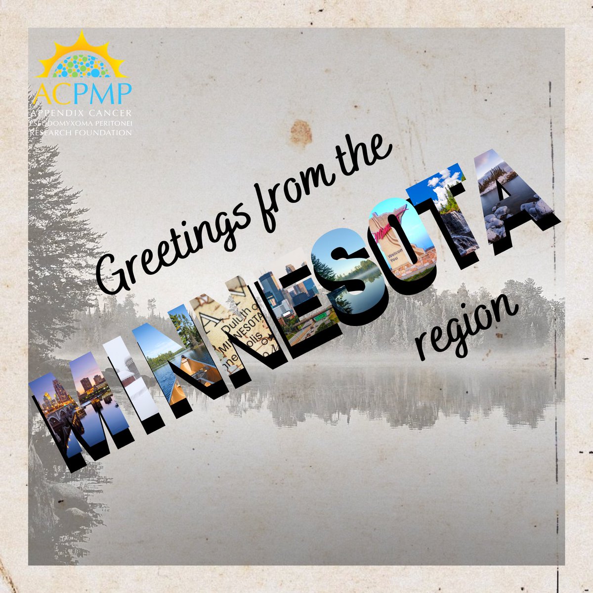 acpmpresearch's tweet photo. Calling all #appendixcancerpmp patients & caregivers living or receiving care in the MINNESOTA area (or surrounding states): ACPMP has organized a local Zoom to connect THIS Thursday @ 7pm CT!
Register: https://t.co/J4D0iEJPi2
@UMNSurgOnc @UMNSurgery @MayoCancerCare https://t.co/SpaOaEqVGS