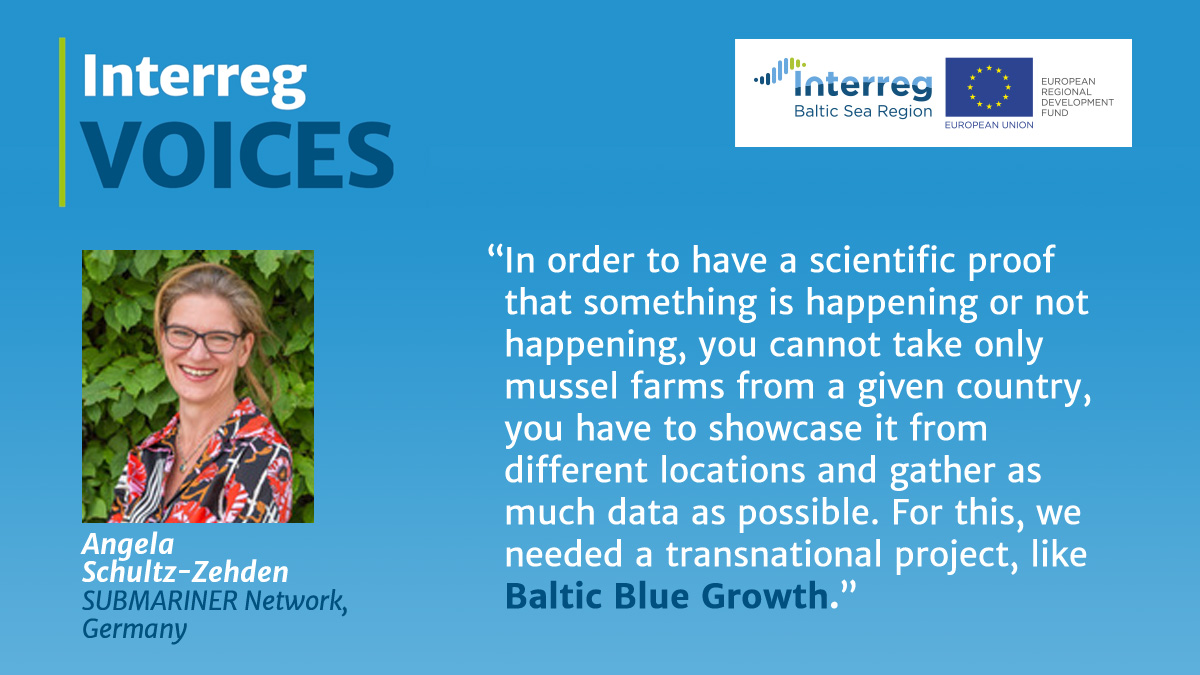 InterregBSR's tweet photo. Explore how our #MadeWithInterreg projects #ALLIANCE, #BalticBlueGrowth, #BluePlatform & #Capacity4MSP help to advance #BlueEconomy in the Baltic Sea region.
Pictures Credits: @VASAB_org & @SubmNet
Read the full story here👉https://t.co/1RMbo6b5UJ https://t.co/rTaW6iIvUo