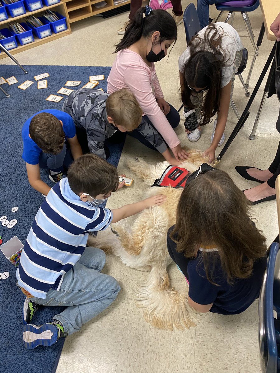 mrs_grinstead's tweet image. “Ruff” life for Shiner as he visits during math choices! #masonmoment
