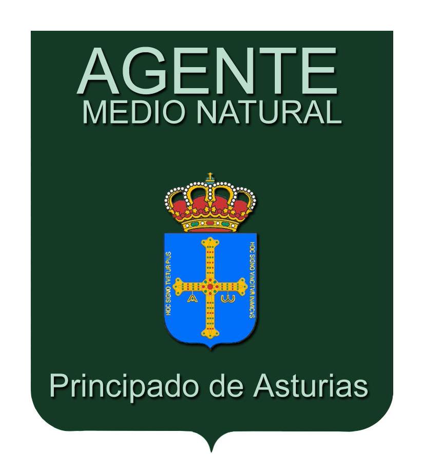 AMedioambiental's tweet photo. Se les juzga por un delito leve de coacción, desobediencia e injurias a #AgenteDeLaAutoridad
#StopAgresionesAAMM
#MediosDeDefensa
#PolicíaMedioambiental https://t.co/QFeDvvx0rV