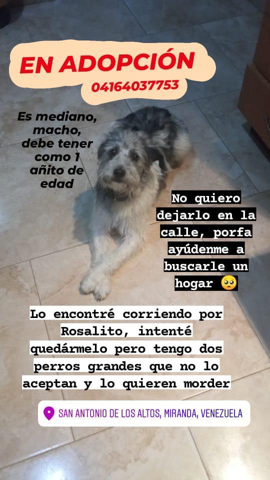 yaracalcagno's tweet photo. https://t.co/94NoMEdWKo