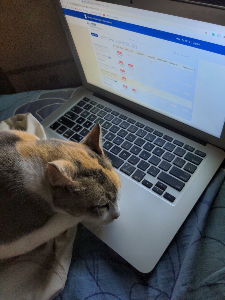 meghna sachdev tweet media