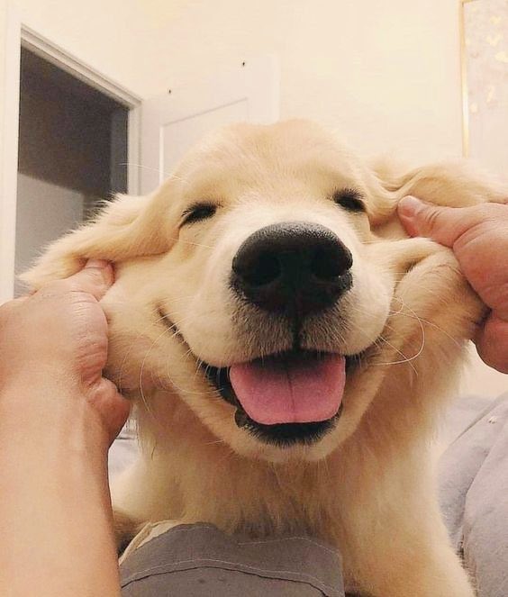 Exulansista's tweet image. Miren que sonrisa tan encantadora. 😍