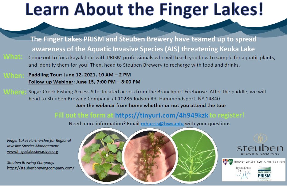 FLIatHWS's tweet photo. Wondering what those weeds growing in the water are? Find out on June 12th! FL PRISM staff will lead you on a kayaking tour and plant sampling demo, then head back to Steuben Brewery with you for a drink and a view. Register here: https://t.co/UFDE9XoBXA https://t.co/T6Ef3pnBvB