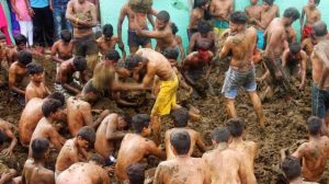 الهنود يواجهون كورونا بروث الأبقار
Indians confront Corona by cow dung 
Les Indiens affrontent Corona par la bouse de vache