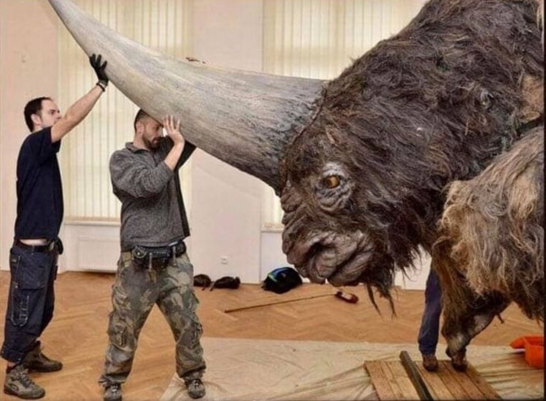 Какие бывают огромные. Сибирский Единорог (Elasmotherium). Сибирские шерстистые носороги. Эласмотерий Сибирский. Древний носорог Эласмотерий.
