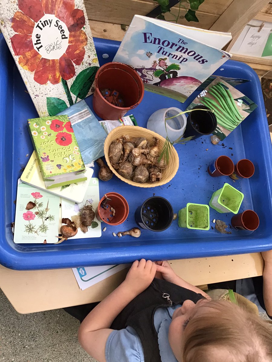 BartonMossCPS's tweet photo. Nursery are learning about plants and what they need to grow. Children have enjoyed exploring the bulbs, seeds and looking at the roots in our curiosity cube. @SwantonSarah @mrsunsworth35 #curiosityineyfs #investigationarea #askingwhy https://t.co/mudqrmUkmR