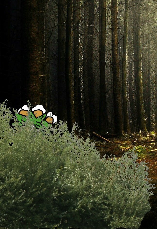 AGalSoShy's tweet image. Stay... completely still...