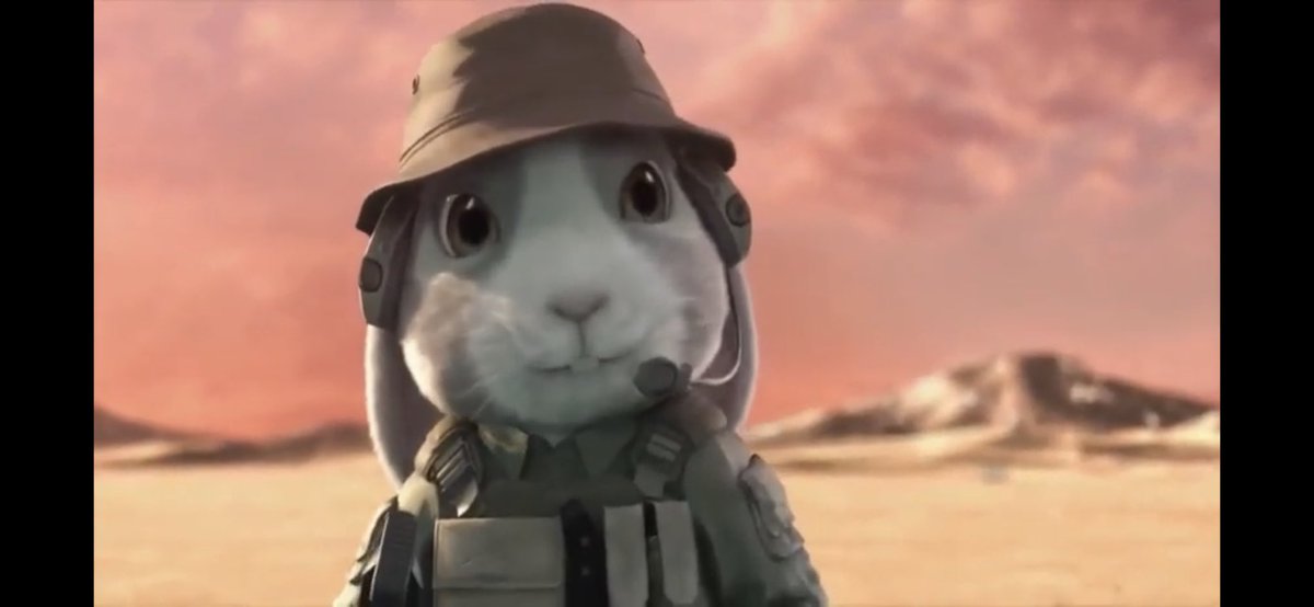 Catsitone Twitter Search Twitter