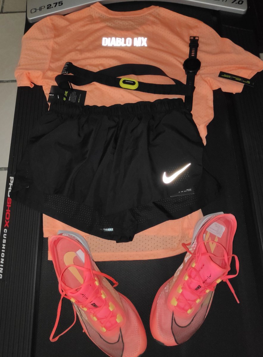diablomxnet's tweet photo. kit listo! detallando todo para el 21k @FhinixS #cozumel #TortoiseFamily #TortoiseRunProject con todo @carmelitomv https://t.co/sbxXatJegc