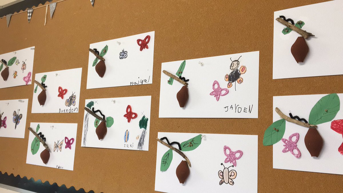 Quilchena Elementary School tweet media