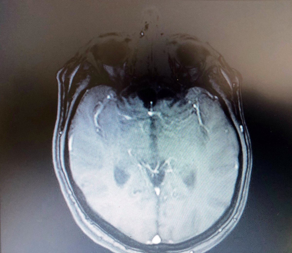 Willy Gilder tweet media