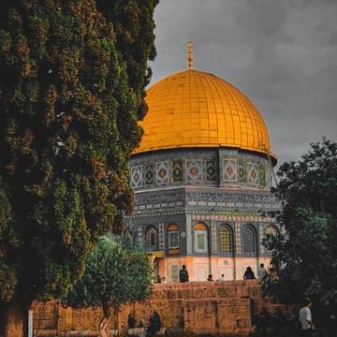 هذه الأرض لا تتسع  لهويتين ، إما نحن و إما نحن ✌
نُحبك نِيابةً عن كُل الذين باعوكِ ومَضوا 🇵🇸

#القدس_تنتفض 
#أنقذوا_حي_الشيخ_جراح

#savesheikhjarrah
#Save_Sheikh_Jarrah