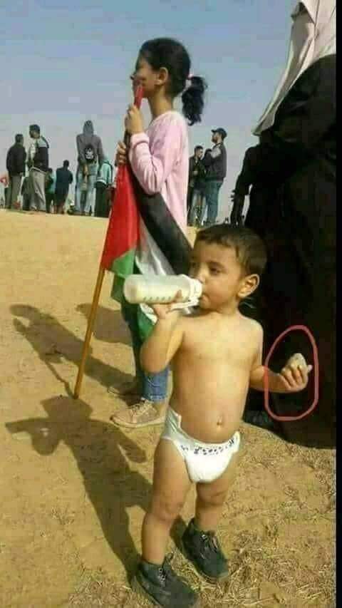 Muhamma80559996's tweet photo. جنگ لازم ہو تو لشکر نہیں دیکھے جاتے
واہ میرے شیر
55 ممالک کے سارے میزائلز تیرے اس پتھر پر قربان💕#المسجد_الأقصى https://t.co/zeflwyFNv8