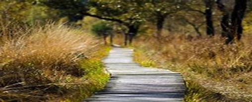 TheParkHealth's tweet photo. #mentalawarenessweek why not spend some time taking a walk or a run in the fresh air. Exercising in green spaces for as little as five minutes can improve mood and feelings of self-esteem. https://t.co/s5Vq5SMmYm