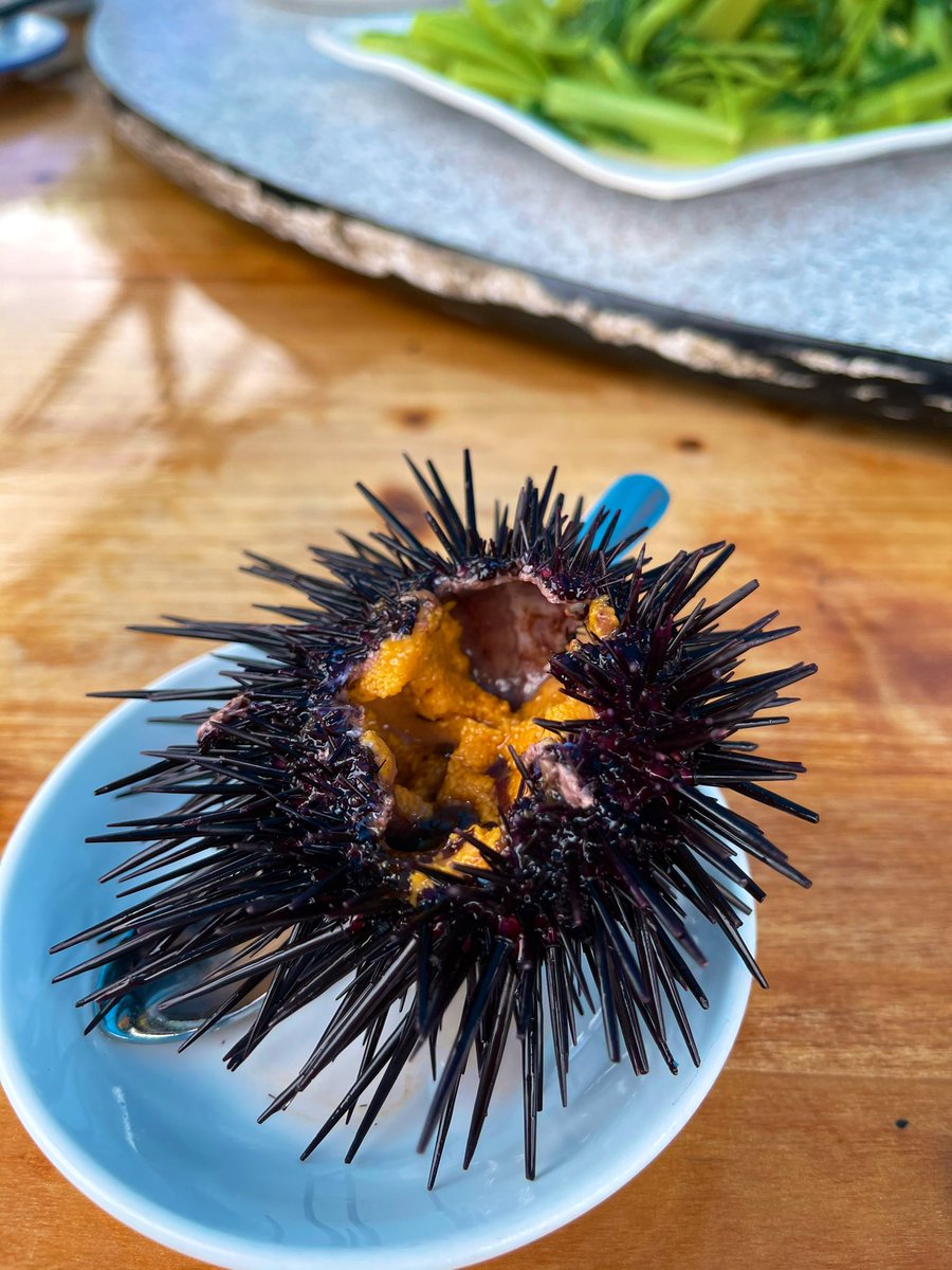 riveramichael's tweet photo. Around 糧船灣 (Leung Shuen Wan) and 東丫村 (Tung A Village) + eating at the 海膽養殖場海鮮菜館 (Sea Urchin Breeding Centre and Seafood Restaurant) 🏝💥
#TungA #HighIsland #SaiKung #HongKong https://t.co/Kz9jawyXxY
