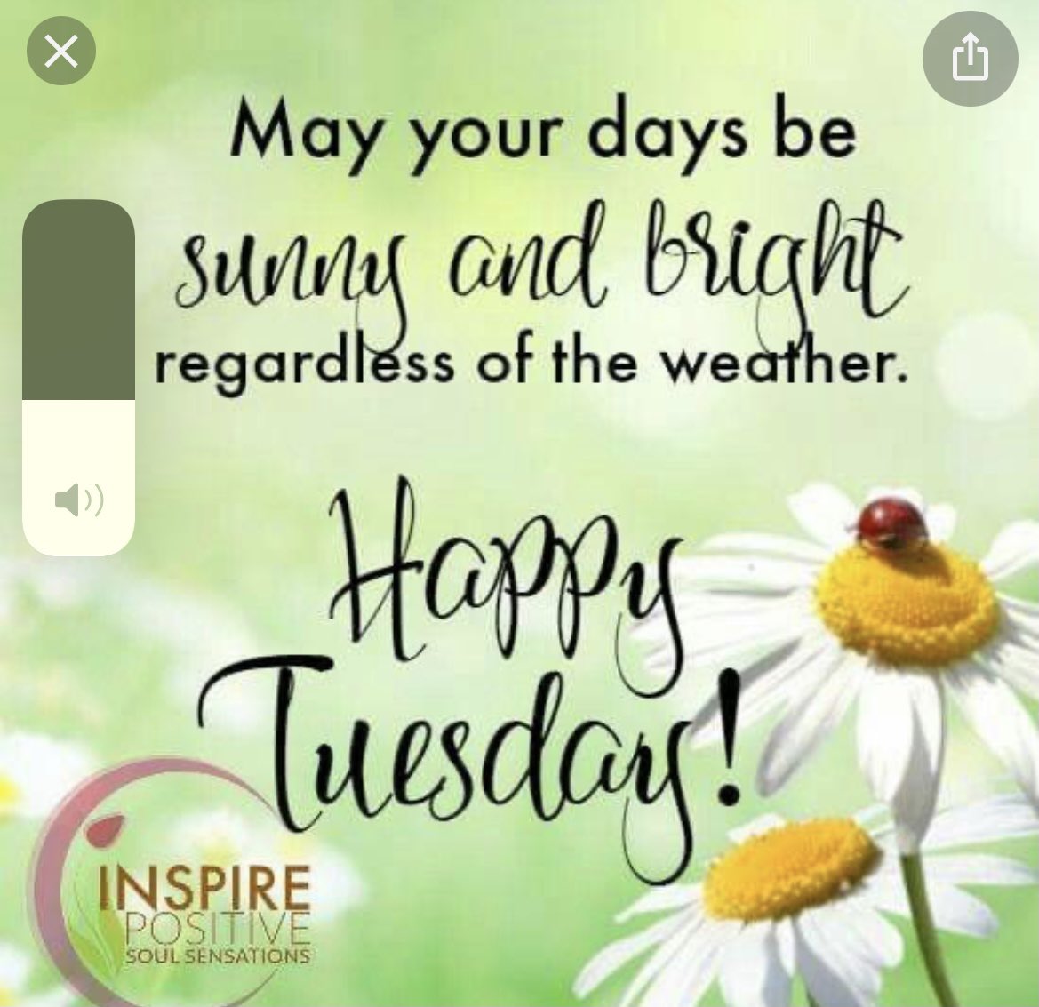 <a href="/SavvyHuman/">GG Smiles</a> <a href="/KoichicCheryl/">Cheryl~~GB Trump 2020</a> <a href="/b_gawk/">ULTRA MEGA MAGA Force American B'GAWK</a> <a href="/blueskies6123/">Blueskies</a> <a href="/lupash8/">ConspiracyElephant</a> <a href="/sundoghigh/">Skip 🇺🇸</a> <a href="/Mad_Rebel2/">Mr. Bandy Shanks™</a> <a href="/roosterpisces/">Rooster Pisces</a> <a href="/WmScottBlair/">Scott</a> <a href="/BettyAnn1014/">BettyAnn</a> Hi GG ! Hope your morning is going well. Enjoy the rest of the day!💕