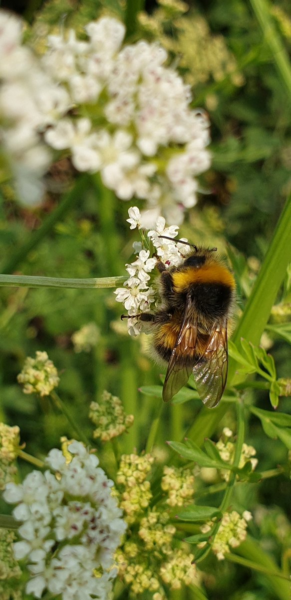 Boden Group (@bodengroup) on Twitter photo #MentalHealthAwarenessWeek - Photo of the day
Our next photo of the day was submitted by Nickie Yarnell, Works Co-Ordinator. She actually submitted 4 photos from last summer, we couldn't decide which was best so here is all 4.
<a href="/mentalhealth/">Mental Health Foundation</a>
#teamboden #ConnectWithNature #MentalHealthAwarenessWeek - Photo of the day
Our next photo of the day was submitted by Nickie Yarnell, Works Co-Ordinator. She actually submitted 4 photos from last summer, we couldn't decide which was best so here is all 4.
<a href="/mentalhealth/">Mental Health Foundation</a>
#teamboden #ConnectWithNature