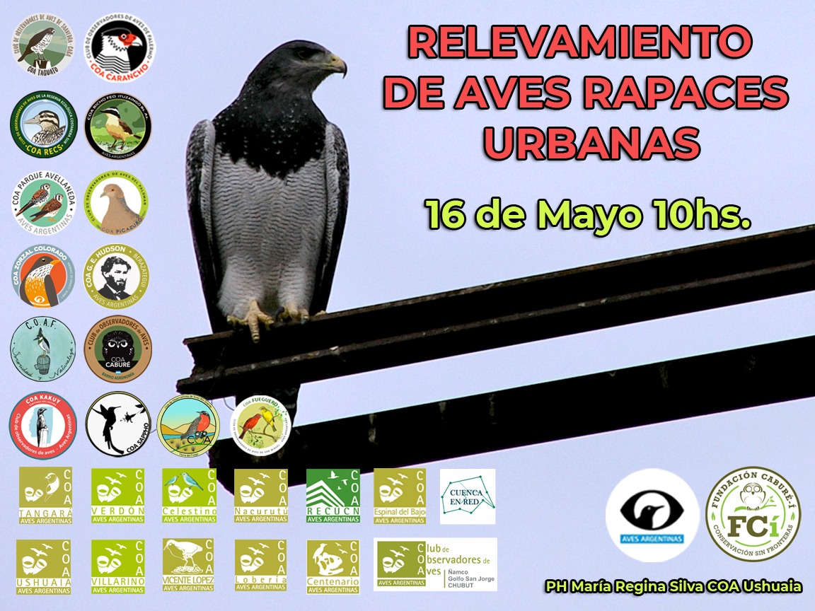 Cuenca En Red tweet media