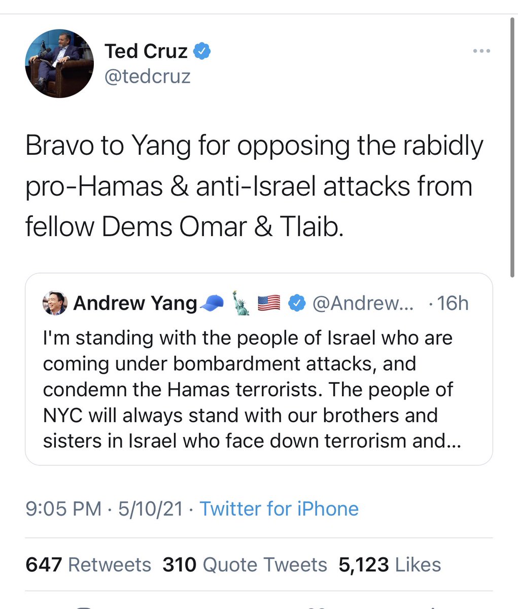 emilyngo's tweet photo. “I certainly would never ask for or want their support,” @AndrewYang says of @tedcruz @StephenM https://t.co/BOvInIceaK