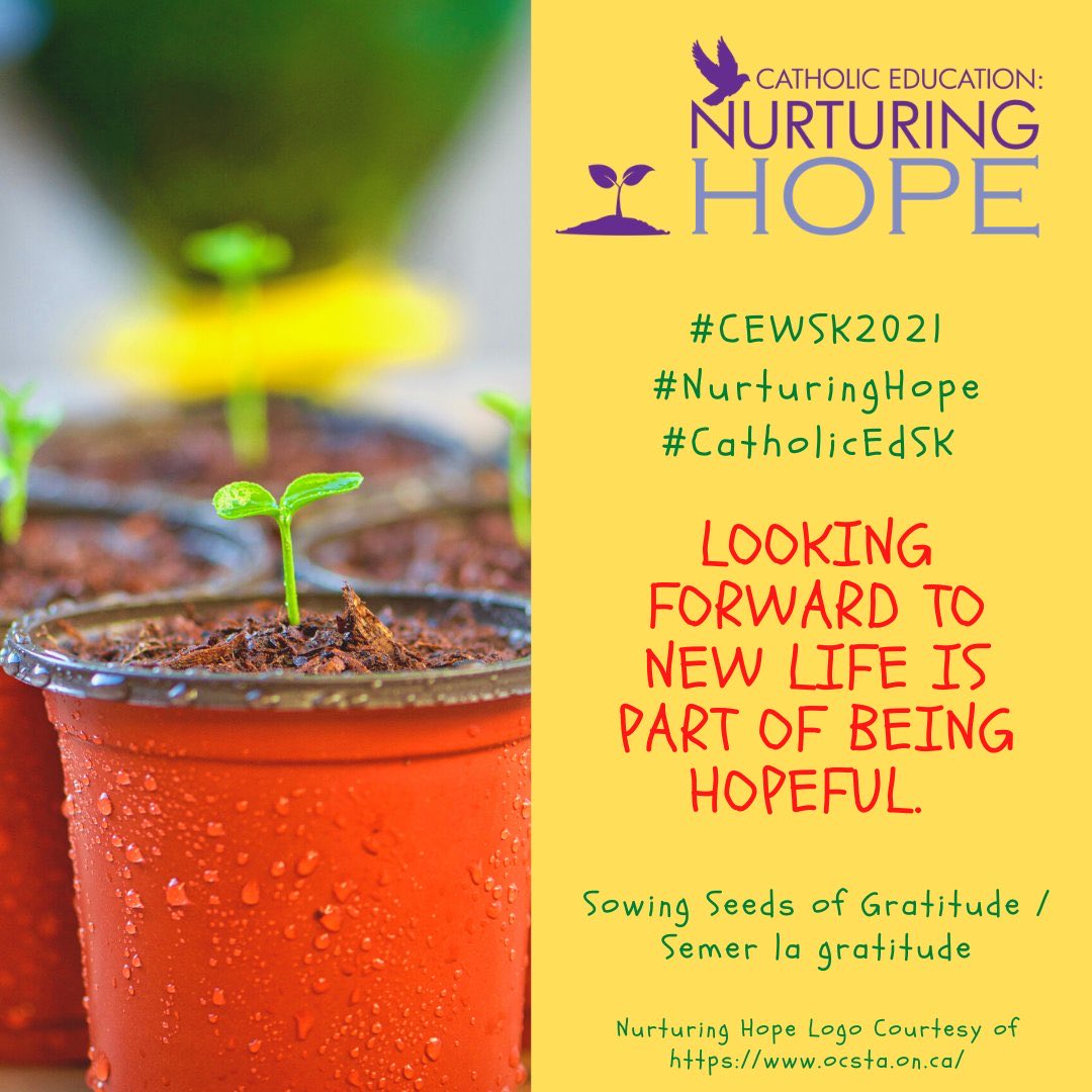 Jacqueline Siemens (@jakesiemens03) on Twitter photo 