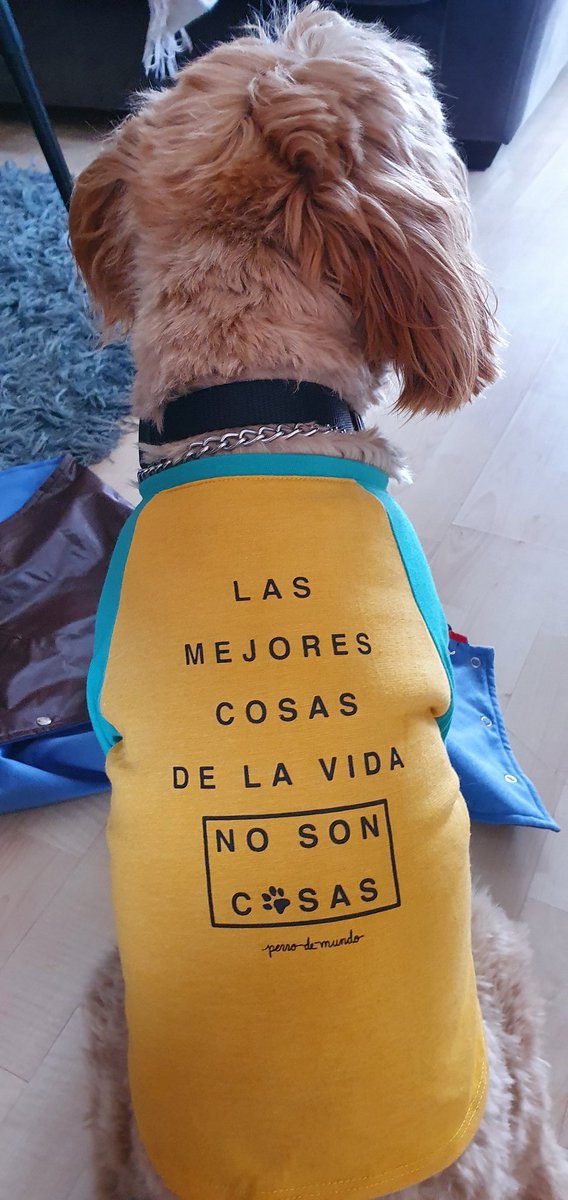 anamaryep's tweet photo. #PoderososPerritos https://t.co/zHFyUurQNb