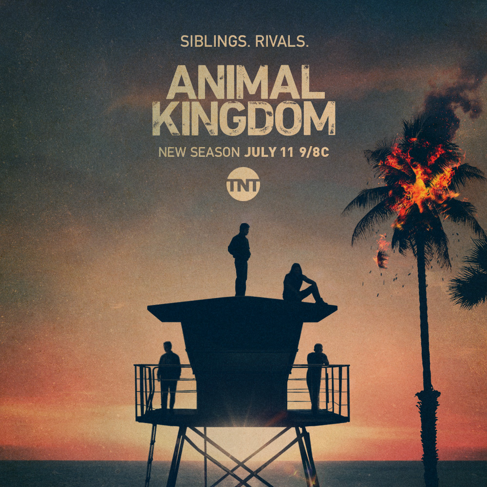 Animal Kingdom on Twitter: Animal Kingdom on Twitter: