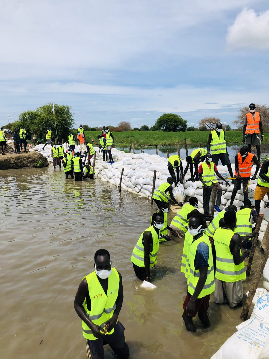 mfjhollingworth's tweet photo. ‘@WFP_SouthSudan, with @jam_southsudan & young ♂& ♀from #Jalle & #Baidit, are working to patch & rebuild 200 breaches in the dike/levee that kept their villages safe & the main supply route through #Jonglei State, #SouthSudan, open; 48 completed so far. An awesome effort!!! https://t.co/ySyjCPxpri