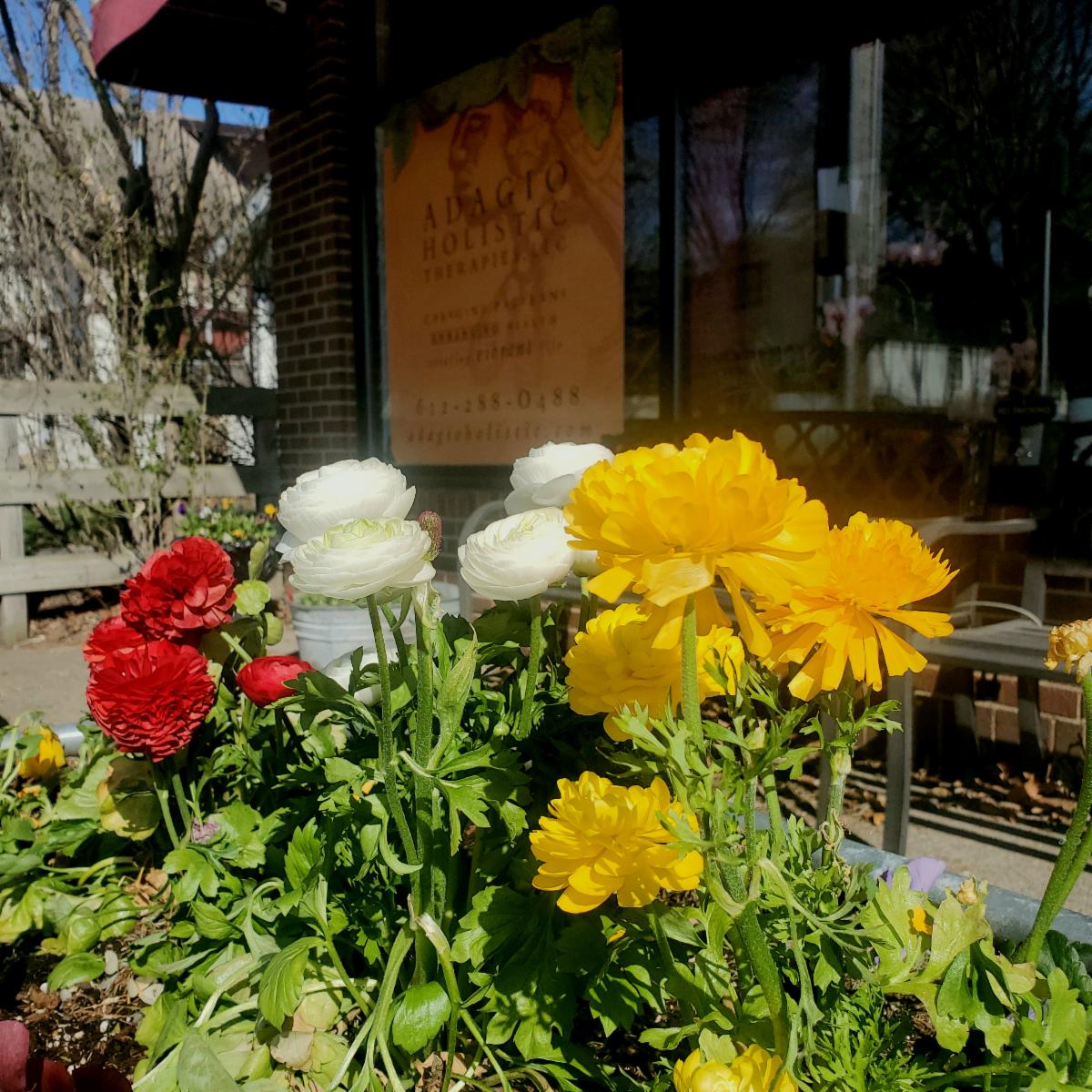 Interested in the Flower Essences for Soul Retrieval class? conta.cc/33r1RFo