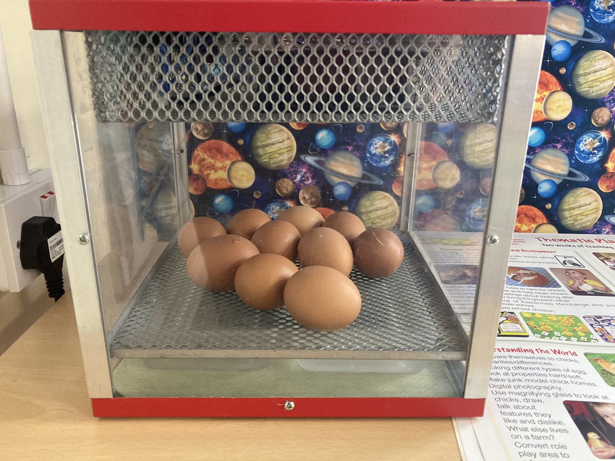 MsHigginsTindal's tweet photo. We’ve got some more visitors in Year 1! We’re just looking after them for Reception &amp; Nursery, so we will need to give them back, but we’re excited to see what happens. #whatsinthere? @ARKTindal @AliTindal @MrsKhanTindal https://t.co/YT17Etdphm