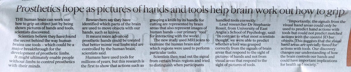 Dr Stephanie Rossit 🧠👀🖐 tweet media