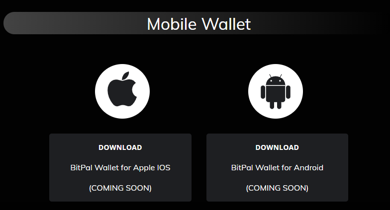 BitPalnet's tweet image. 🔜🔜🔜