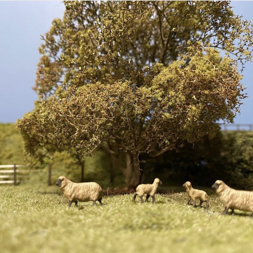 DartsideScenics's tweet photo. Tree mode from a dead thyme plant and seafoam #modeltree #diorama https://t.co/nm1MbWoI3G