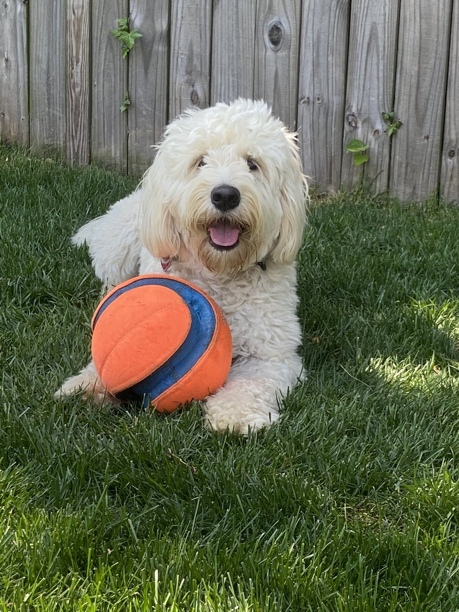 Molly Hall tweet media