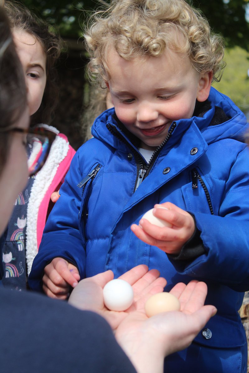 🥚 Celebrating the first eggs from our Chickens at Frodsham! 🥚

#theashtonhouse #ashtonhousefrodsham #outdoornursery #eyfsoutdoors #abcdoes #bemoreearlyyears