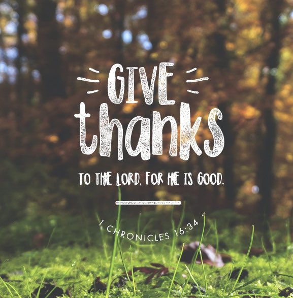 GTAMinistries's tweet photo. “O give thanks unto the Lord; for he is good; for his mercy endureth for ever.”
1 Chronicles 16:34 KJV
#GoodMorning #GiveThanks #Bible #scripture #GodIsGood #Jesus #faith #hope #love #GTAMinistries https://t.co/IpknxDoWbO