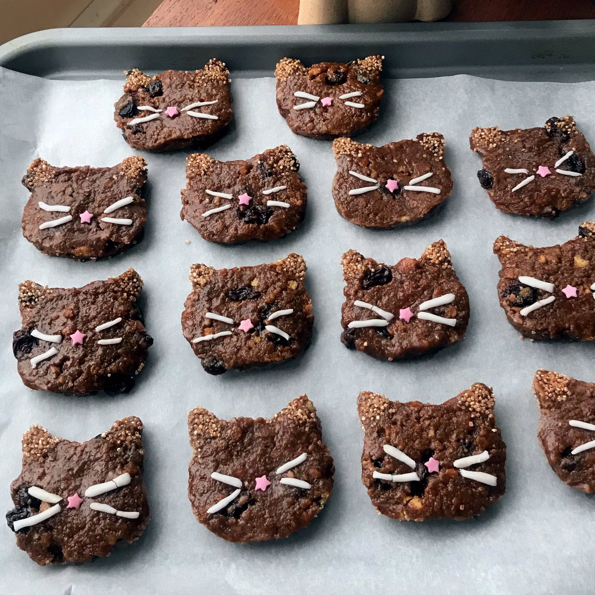 MyVeganRadar's tweet photo. I made Cat Fridge Cake 🥰
#vegancake #catcake #veganfood https://t.co/KZVwQZA7xV
