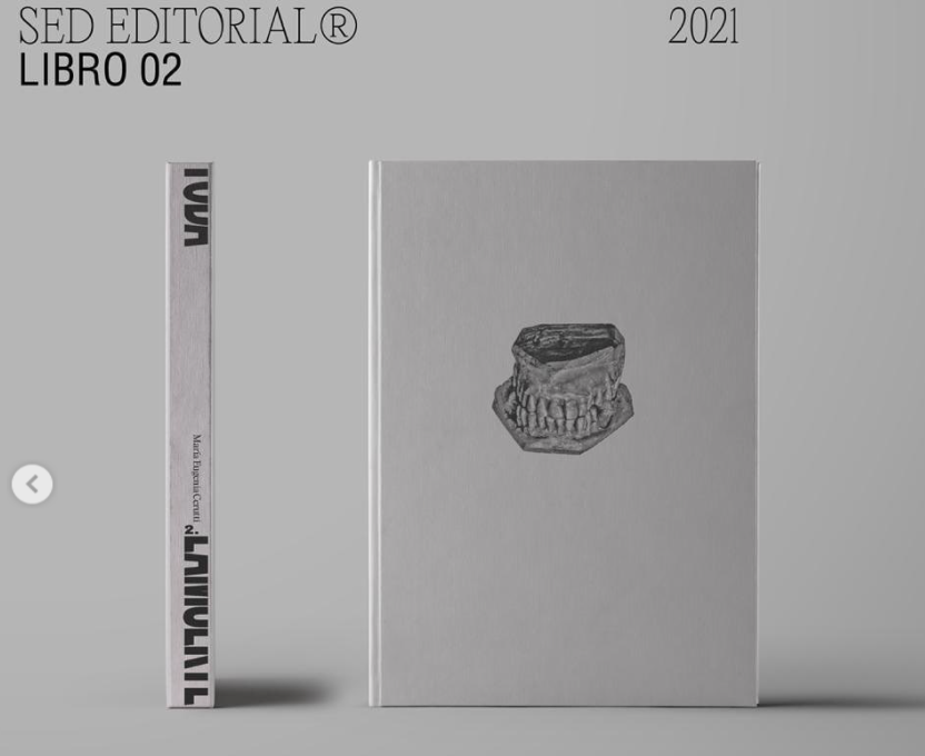 mecerutti's tweet photo. Con Toda la Muerte al Aire está compuesto por dos libros: el primero reúne material de archivos diversos y fotografías forenses intervenidas. El segundo es la reedición del libro “Yo no maté a Alcira” (publicación redactada por el femicida Jorge Burgos desde la cárcel) https://t.co/Gy6YxmeZU9