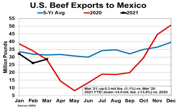 cattlefax's tweet photo. Beef Trade with Mexico Expected to See Growth /// U.S. #beefexports to Mexico in March were 1% higher than year ago. Exports in '21 could see growth due to poor shipments in '20. #Beefimport from Mexico increased from the previous two months... https://t.co/Fezp1J9e0S #CattleFax https://t.co/DP7t22c09V