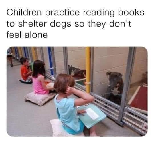 WholesomeMeme's tweet image. 