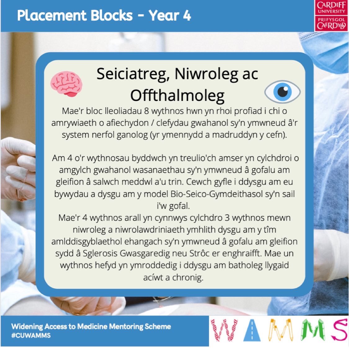 To continue our placement summaries series, this week we are focussing on Year 4 blocks at Cardiff University. Today is a summary of the Psychiatry, Clinical Neurology and Ophthalmology (PCNO) block! You will spend 4 weeks on psych, 3 on neuro and one on ophthalmology 🧠 👁 🩺👩‍⚕️