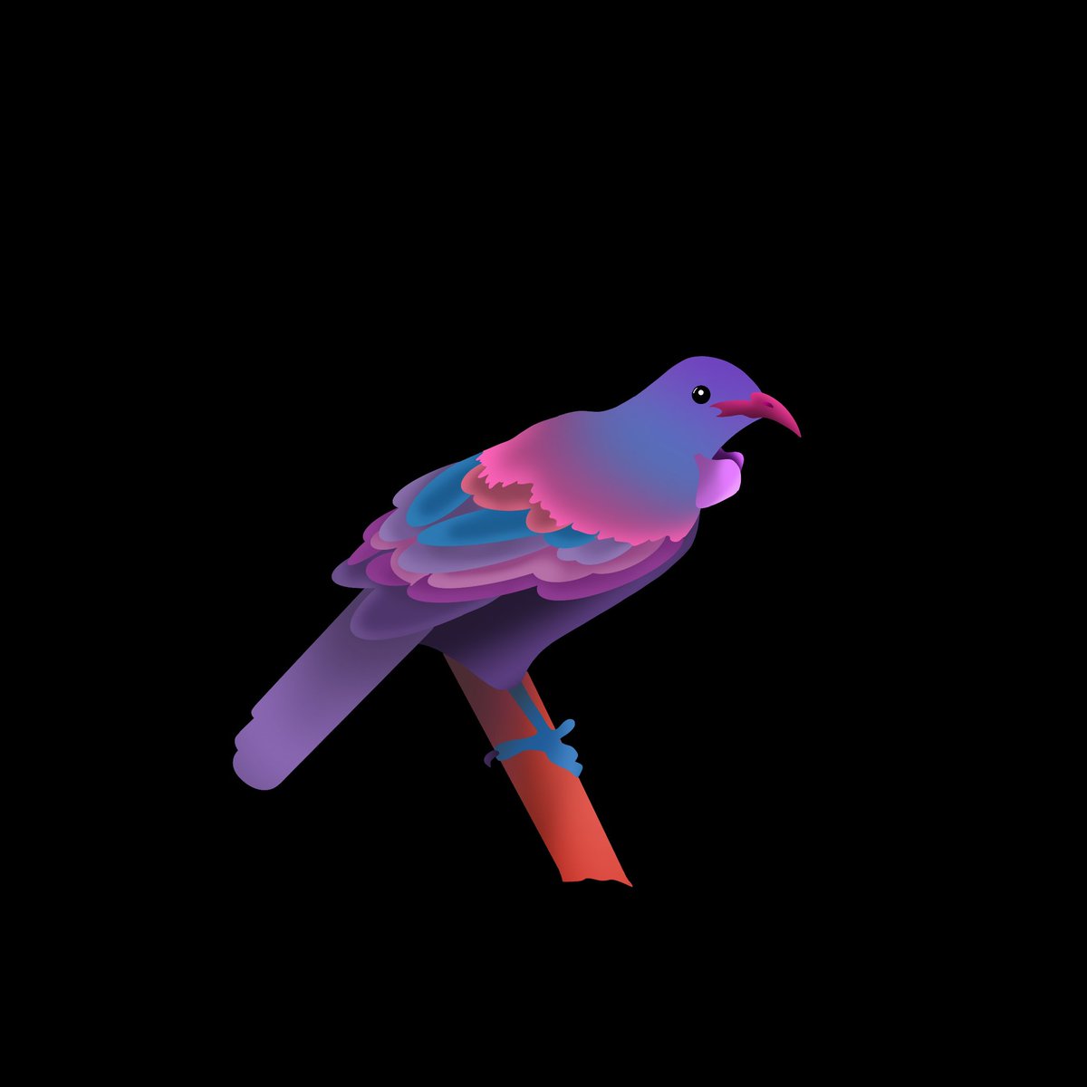 Just some colourful animals from this week