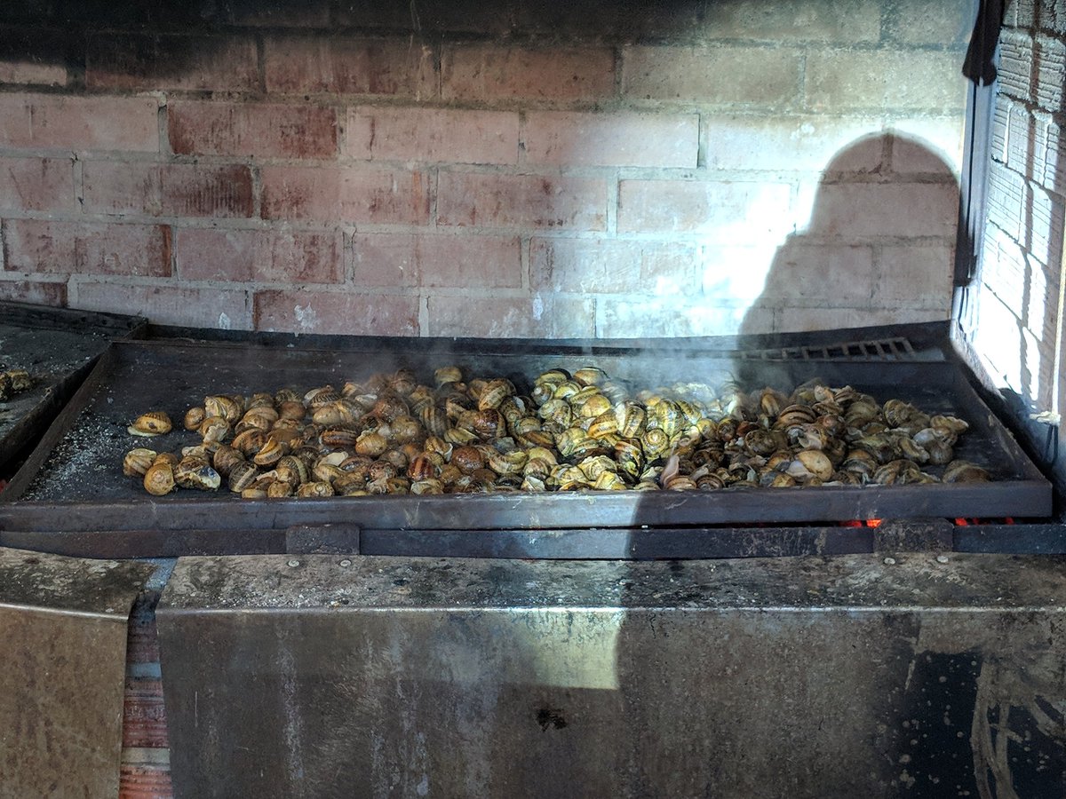 __LFF__'s tweet photo. Been too long...
#Snails #SnailStew #SnailBBQ https://t.co/b4Dm7Wc5CO