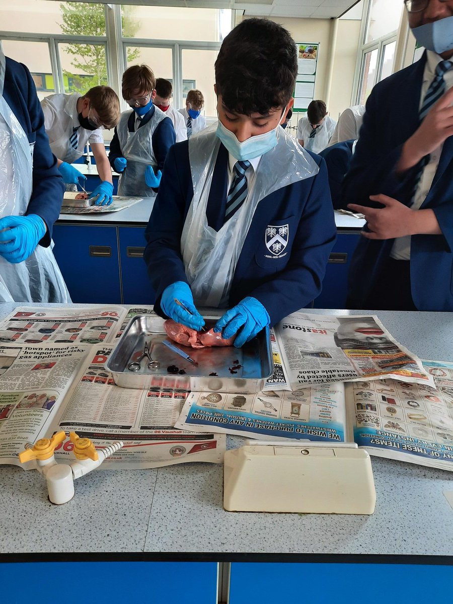 Year 9 scientists carrying out a heart dissection as part of their heart and blood unit in biology! 🫀
