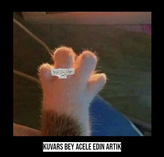 yarezgi1's tweet photo. ..@kuvars_demirhan @lalmaglup https://t.co/mZFZl5cmGH