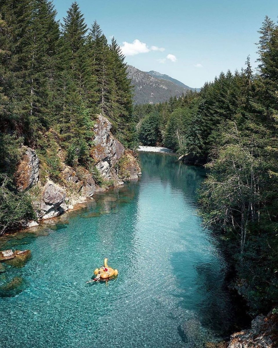 Can almost feel the water 💭 🌊 
📍 #Vancouver Island 

(Photo by marcbaechtold/IG bit.ly/3bfNXu3)
