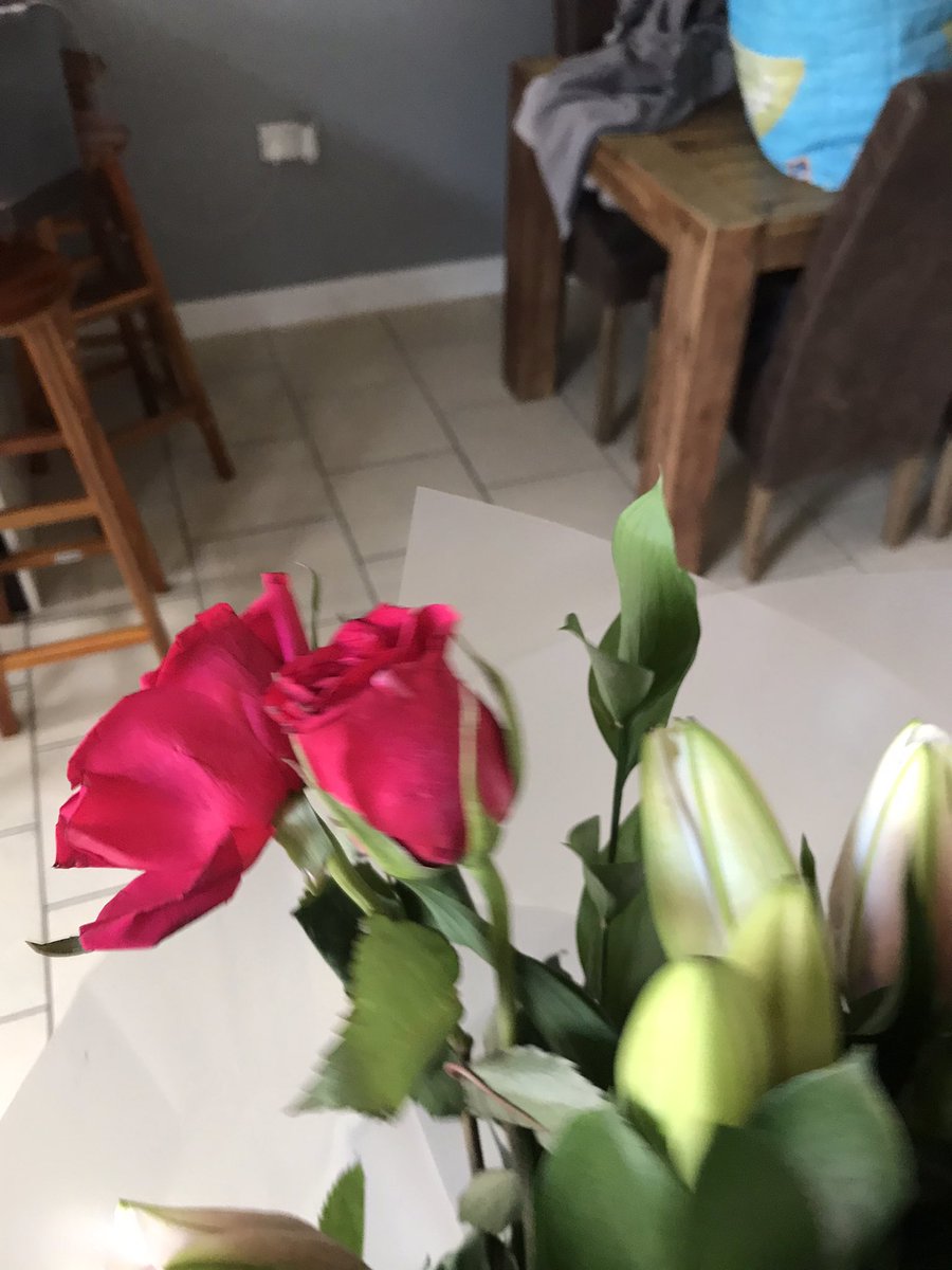 earl taylor tweet media