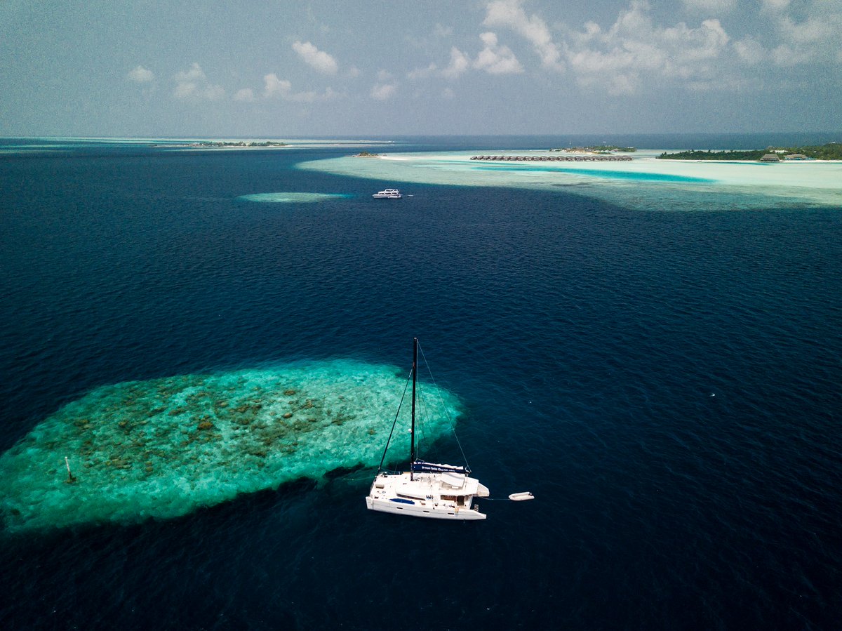 aproacheyachts's tweet photo. Nuestra base en Male, Maldivas es el puerto de embarque ideal para recorrer alguna de sus 1190 pequeñas islas. #Maldivas #catamaran https://t.co/43kFQ8mMrS